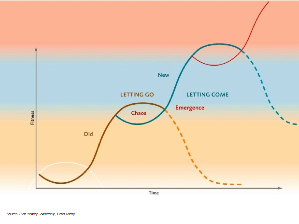 Devolutionary Leadership Peter Merry